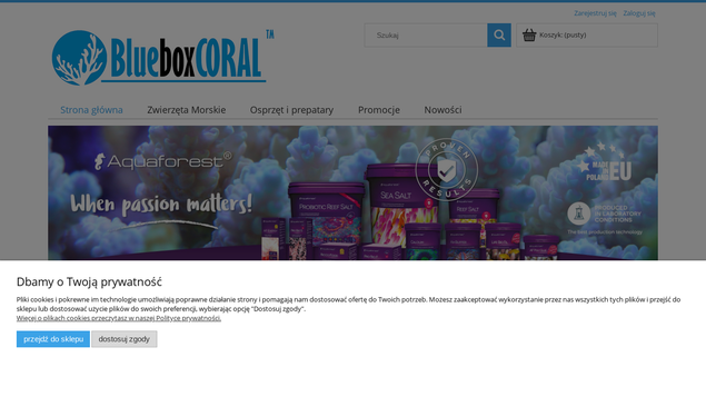blueboxcoral.pl